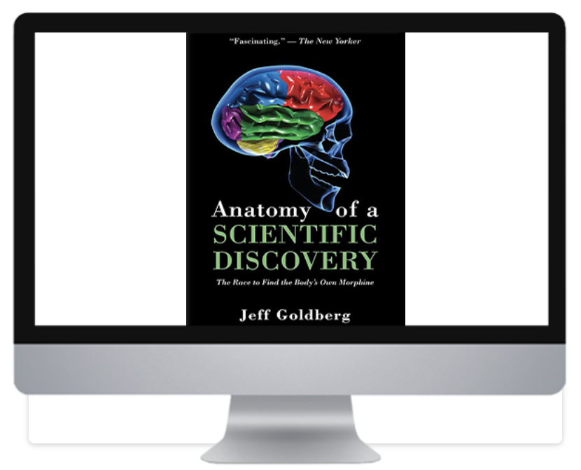 Anatomy of a Scientific Discovery on iMac